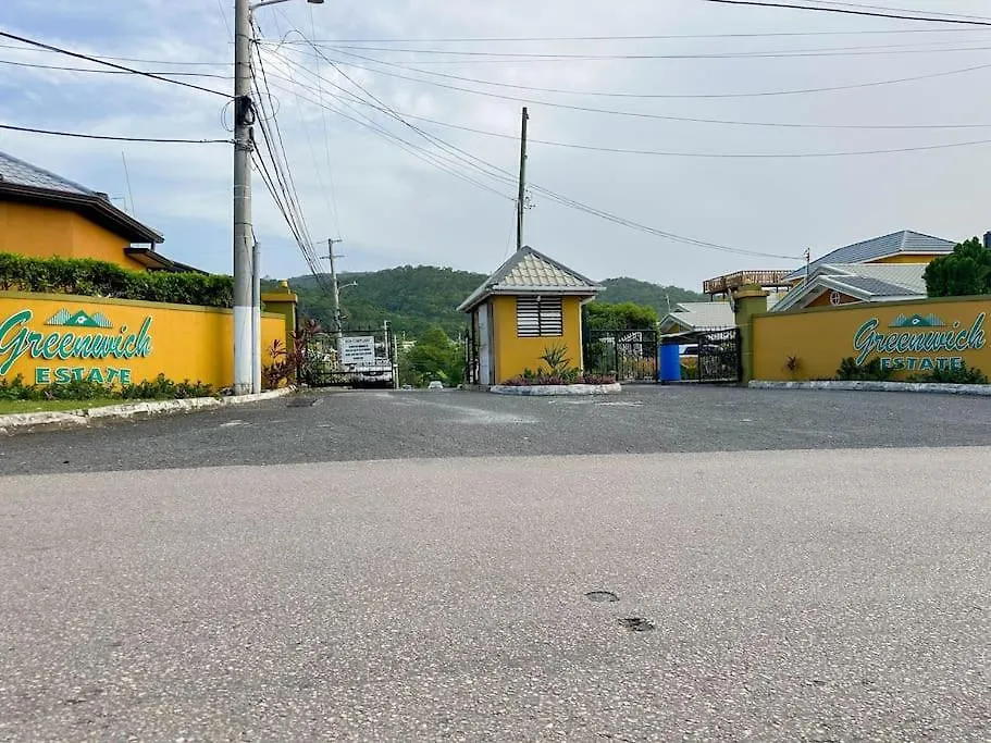 Satin Dreams Jamaica Villa Steer Town Jamaica