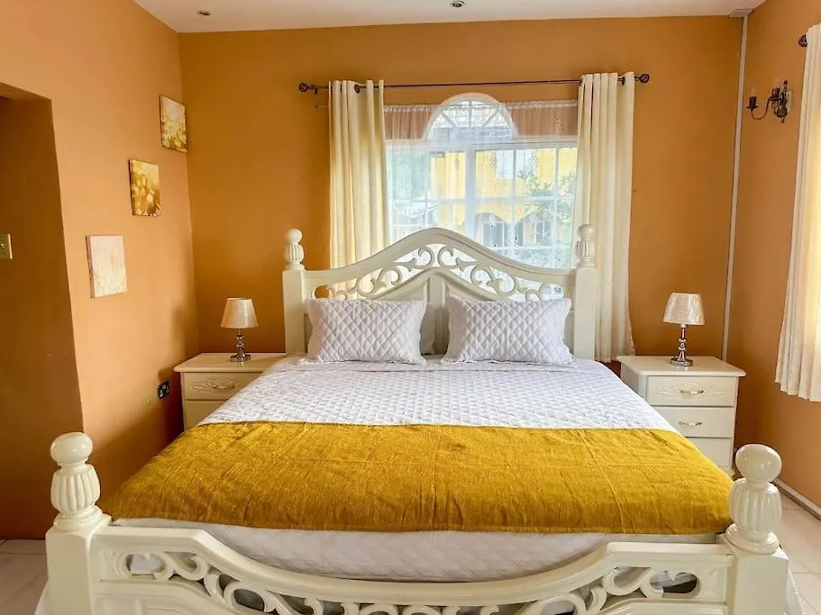 Satin Dreams Jamaica Villa Steer Town